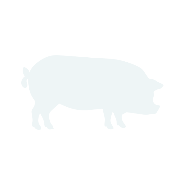CONASA